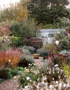 a garden filled with lots of different types of flowers and plants next to a building