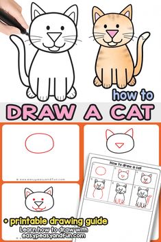 how to draw a cat for kids with pictures and instructions on the front, side and back