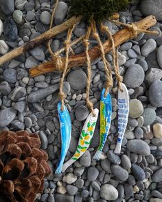 three fish are hanging from twine strings on some rocks with pine cones and driftwood in the background