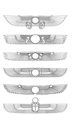 the four wings are drawn in black and white, each with different designs on them