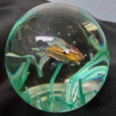 a glass ball with some fish inside of it on a black tableclothed surface