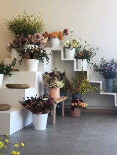 many potted plants are sitting on the wall next to each other in front of some stairs