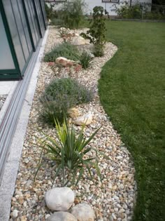 a garden with rocks and plants next to a building on the grass lawning area