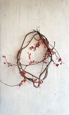 branches with red berries hanging from them against a white wall