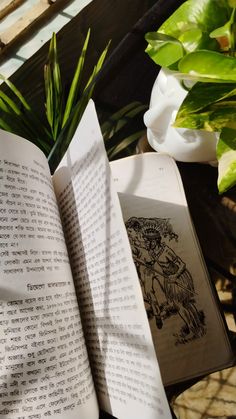 an open book sitting on top of a wooden table next to a potted plant