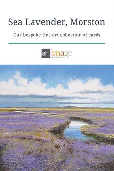 the cover of sea lavender, morston's our bespoke fine art collection of cards