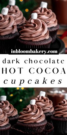 chocolate hot cocoa cupcakes with marshmallows on top and in the background