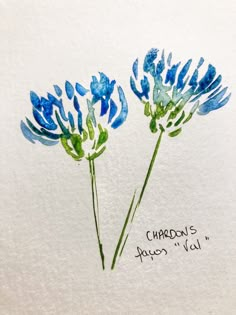 two blue flowers with the words chardon's blues y'all written on them