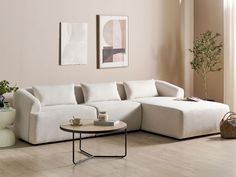 a living room with a white couch, coffee table and potted plant in the corner