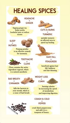 Herbal Remedies Recipes, Medical Herbs, Magia Das Ervas, Natural Healing Remedies, Herbal Healing, Healing Food