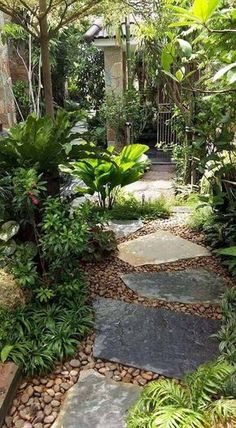 a garden with lots of plants and rocks on the ground in front of some trees