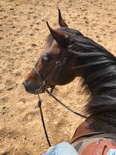 a brown horse standing on top of a sandy field