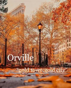 the words orvillee'gold town, gold city are in front of trees with yellow leaves