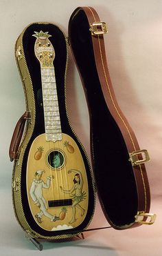 a guitar case with an elaborate design on the top and bottom, sitting in front of a white background