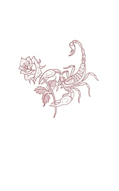 a drawing of a scorpion with flowers on it's back legs, and the tail curled up