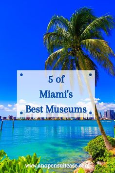 a palm tree on the beach with text overlay that reads 5 off miami's best museum