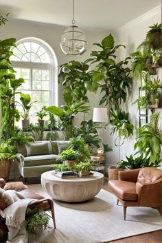 a living room filled with lots of plants next to a couch and chair in front of a window