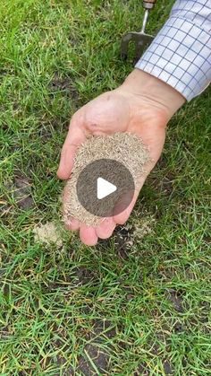 a person holding something in their hand on the ground with grass growing out of it