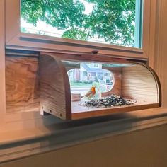 a window with a bird inside of it