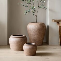 three vases with plants in them sitting on the floor