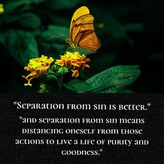 a butterfly sitting on top of a yellow flower next to a quote from an unknown person