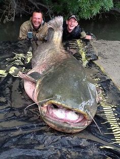 two men pose with a large fish on the ground in front of water and trees