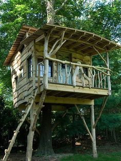 a tree house built into the side of a tree