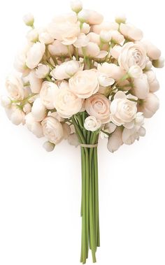 a bouquet of white flowers on a white background