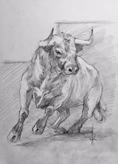 Horse Drawing Inspiration, Drawing Horses Sketches, Toro Drawing, Graphite Realism, Western Sketches, Animal Artists