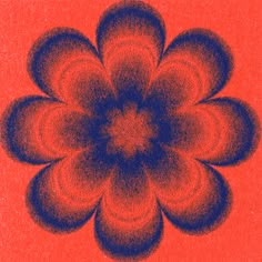 an orange and blue flower is in the middle of a red background with black dots