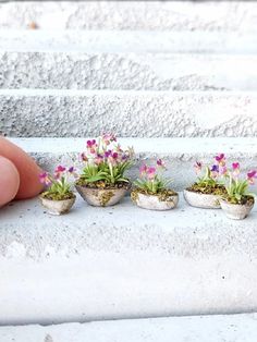 small potted plants are placed on the steps to be used as planters for flowers