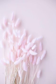 some pink feathers are in a vase on the table and it is almost as soft as they look