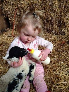 Fii Puternic, Farm Kids, Farm Lifestyle, Childrens Photography, Future Kids, 귀여운 동물, Baby Fever, Country Life, Animals Friends