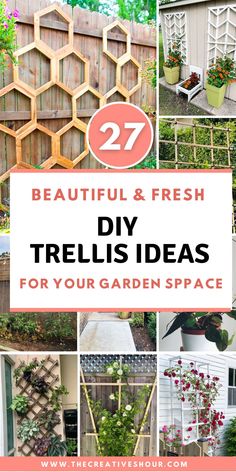 several different types of trelliss with text overlay that reads 27 beautiful and fresh diy trelliss ideas for your garden space