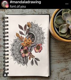 an open notebook with flowers on it next to a potted succulent plant