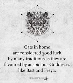 a quote with an image of a cat on it's face and the words cats in home are considered good luck by many traditionss as they are