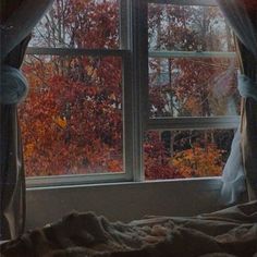 an open window with curtains and fall trees outside