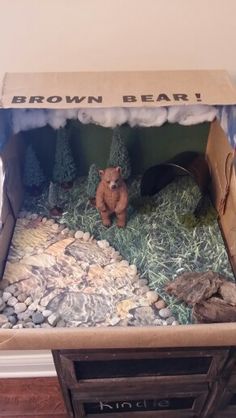 a brown bear sitting in a cardboard box filled with rocks