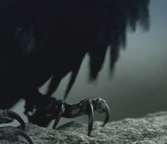 a black bird is perched on a rock with claws in it's talons