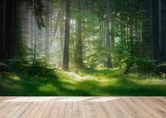 an empty wooden deck in the middle of a forest with sunlight streaming through the trees