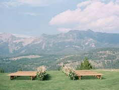 two wooden benches sitting on top of a lush green field covered in flowers and greenery