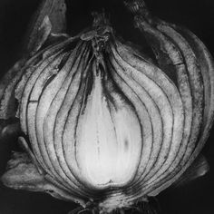 an onion is shown in this black and white photo