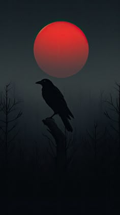 a black bird sitting on top of a tree branch in front of a red sun