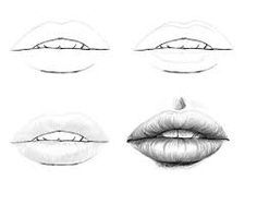 the lips have different shapes and sizes