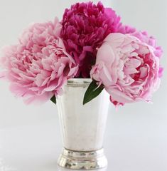 pink flowers in a silver vase on a white background