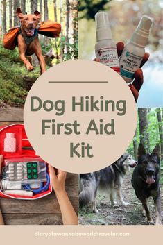 the dog hiking first aid kit is shown with pictures of dogs and other things in it