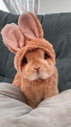 a brown rabbit wearing a bunny ears hat