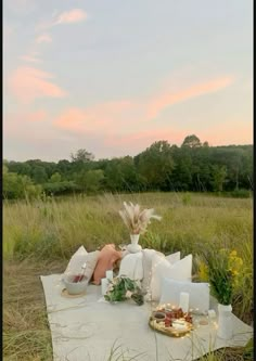 a table with food on it in the middle of a field