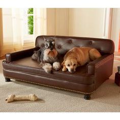 two dogs sitting on a couch in a living room