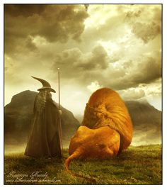 an image of a wizard and a lion with caption that reads, thanks mr toklen and thanks mr lewis for all the adventures